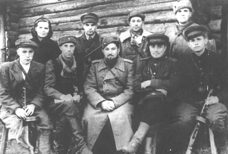 Реферат: Партизанское движение в СССР в годы ВОВ